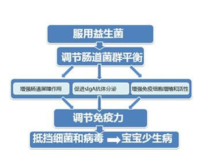 合生元益生菌可以长期吃吗