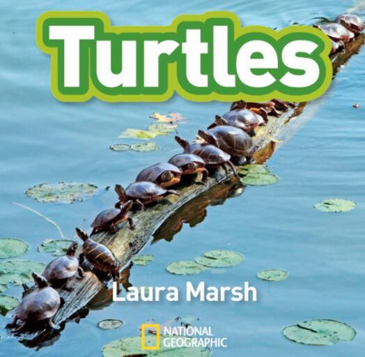 《Turtles》国家地理分级绘本pdf资源免费下载