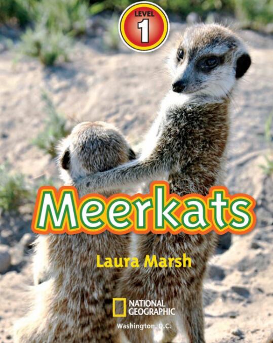 《Meerkats》国家地理分级绘本pdf资源免费下载