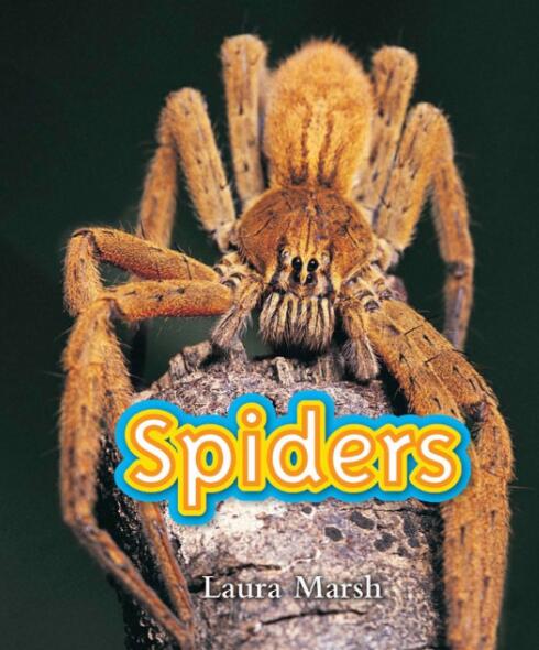 《Spiders》国家地理分级绘本pdf资源免费下载