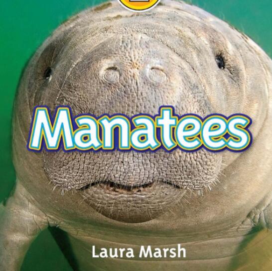 《Manatees》国家地理分级绘本pdf资源免费下载