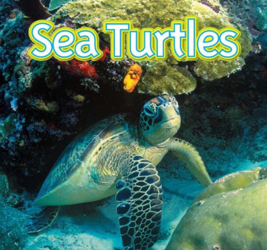 《Sea Turtles》国家地理第2级绘本pdf资源免费下载