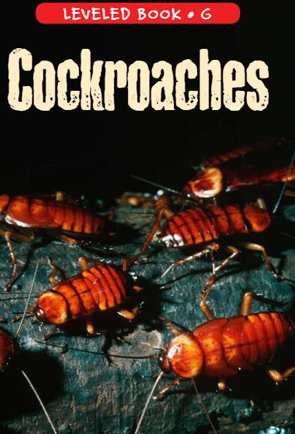 《Cockroaches》RAZ分级英语绘本paf资源免费下载