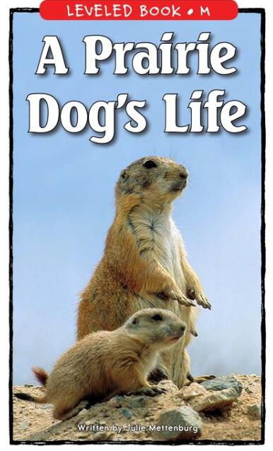 《A Prairie Dog's Life》RAZ分级绘本pdf资源免费下载