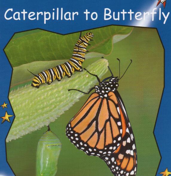 《Caterpillar to Butterfly》红火箭分级绘本pdf资源免费下载