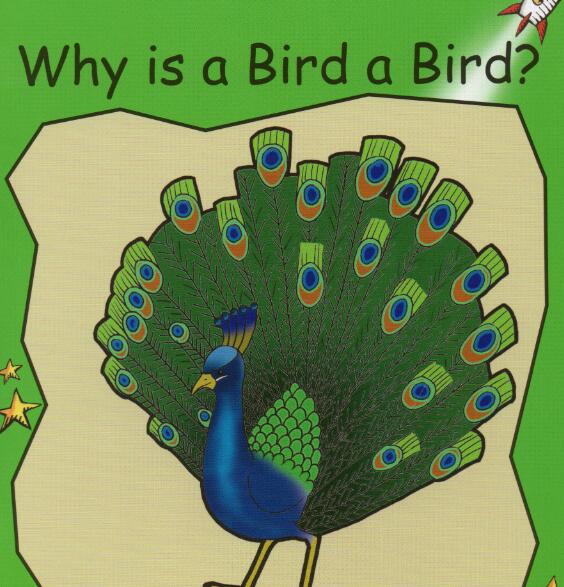 《Why is a Bird a Bird》红火箭分级绘本pdf资源免费下载