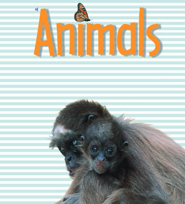 《Animals》儿童英语分级绘本pdf资源免费下载