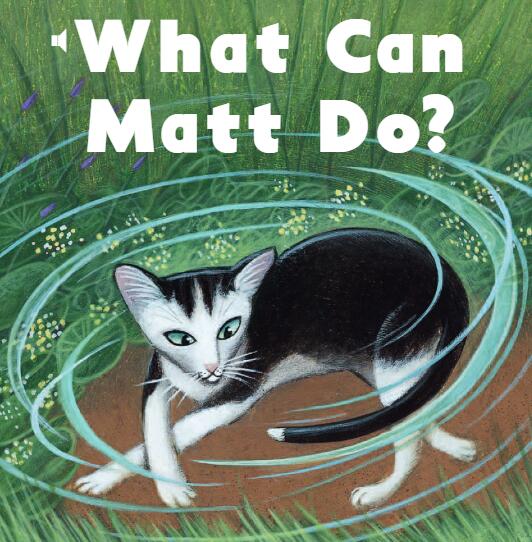 《What Can Matt Do》儿童英语分级读物pdf资源免费下载