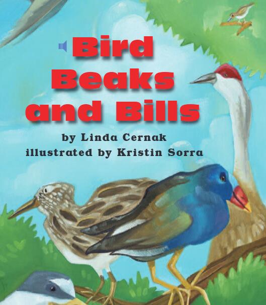 《Bird Beaks and Bills》儿童英语分级读物pdf资源免费下载