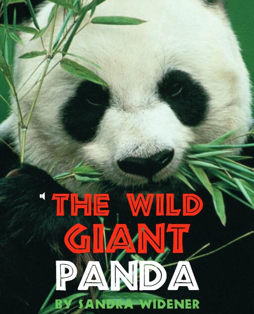 《The Wild Giant Panda》儿童英语分级读物pdf资源免费下载