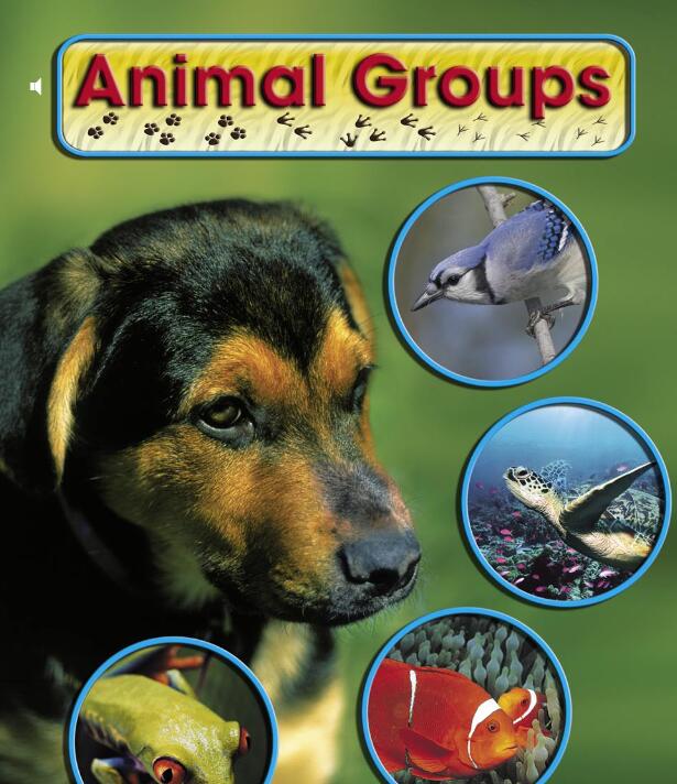 《Animal Groups》儿童英语分级读物pdf资源免费下载