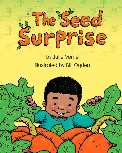 《The Seed Surprise》儿童英语分级读物pdf资源免费下载