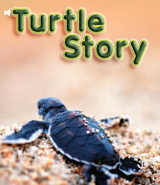 《Turtle Story》儿童英语分级读物pdf资源免费下载