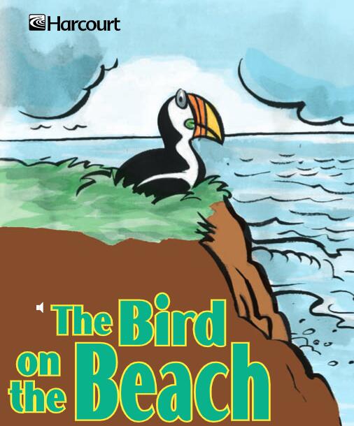 《The Bird on the Beach》儿童英语分级读物pdf资源免费下载