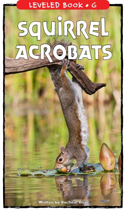 《Squirrel Acrobats》RAZ分级绘本pdf资源免费下载