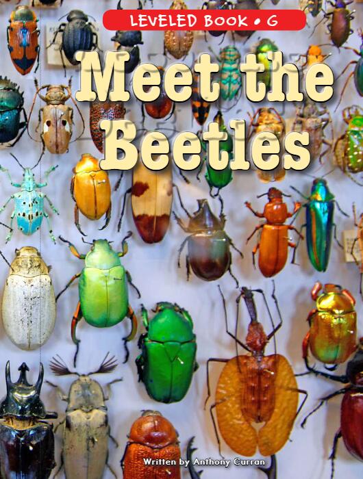 《Meet the Beetles》RAZ分级绘本pdf资源免费下载