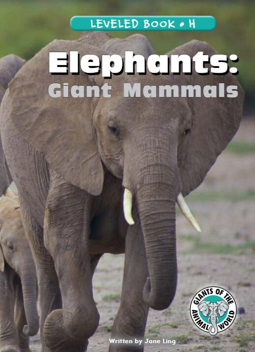 《Elephants Giant Mammals》RAZ绘本paf资源免费下载