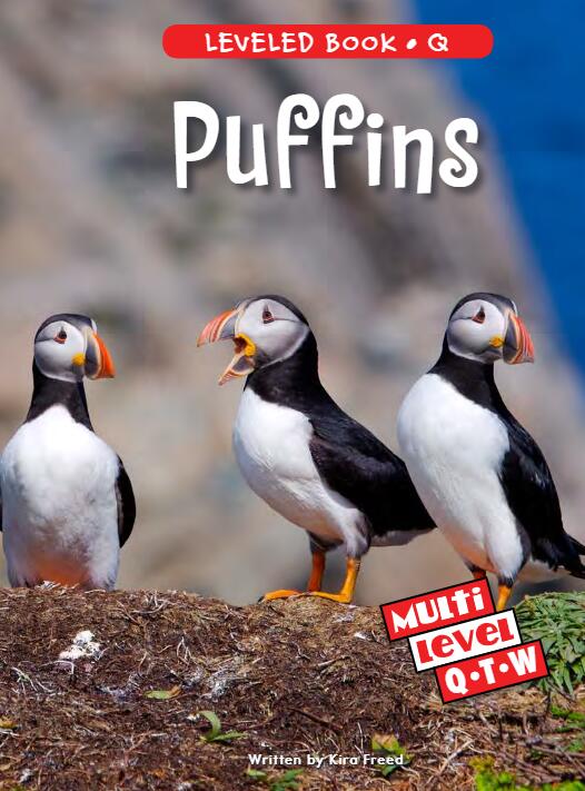 《Puffins》RAZ分级阅读绘本pdf资源免费下载