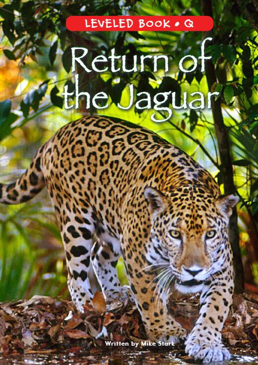 《Return of the Jaguar》RAZ分级绘本pdf资源免费下载