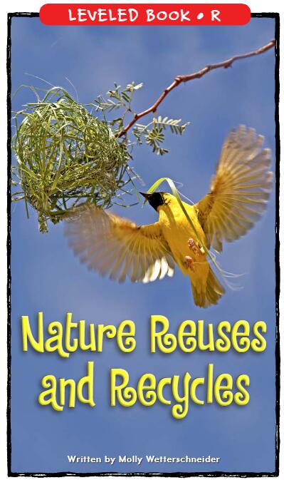 《Nature Reusesand Recycles》RAZ绘本pdf资源免费下载