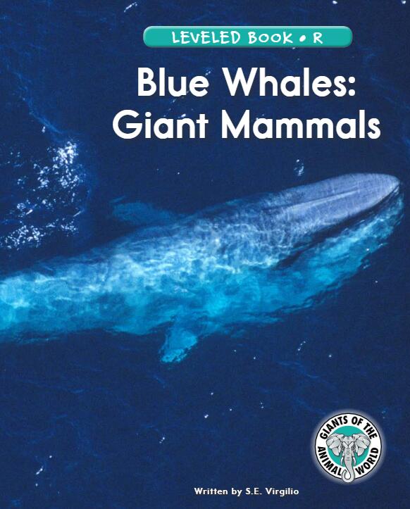 《Blue Whales:Giant Mammals》RAZ绘本pdf资源免费下载