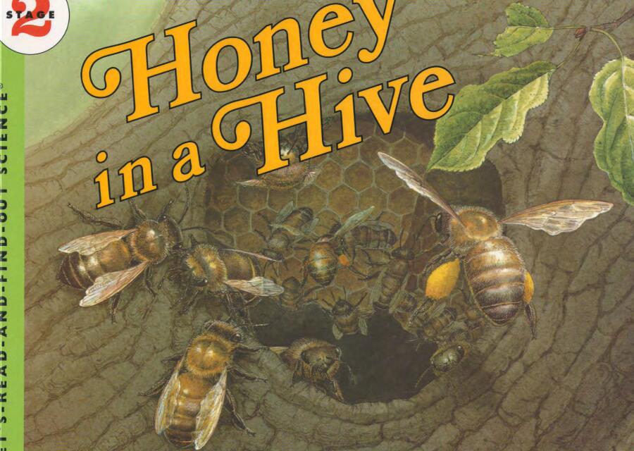 《Honey in a Hive》自然科学绘本pdf资源免费下载