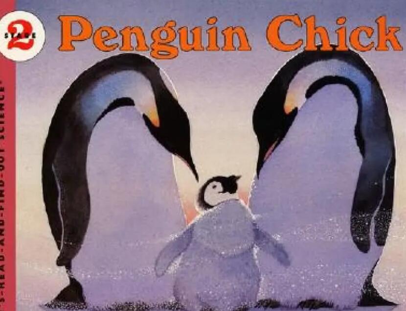 《Penguin Chick》自然科学英语绘本pdf资源免费下载