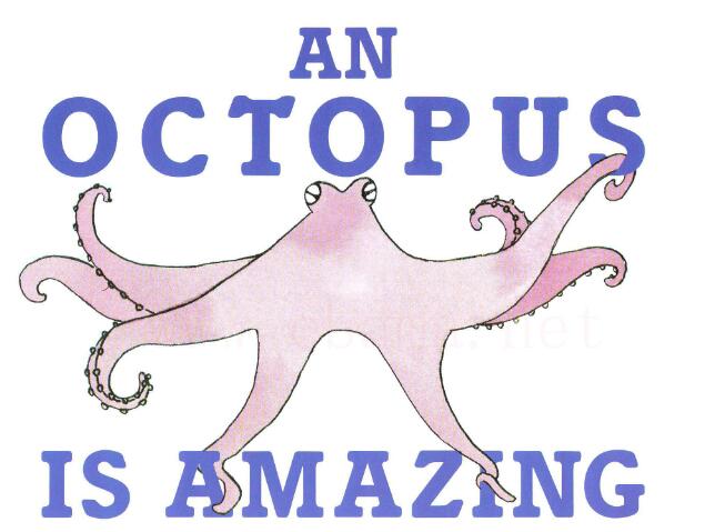 《An Octopus Is Amazing》自然科学绘本pdf资源免费下载