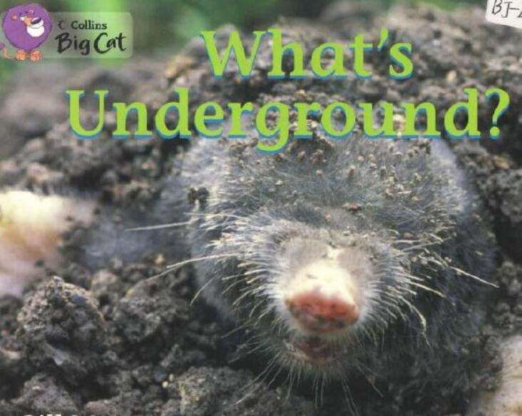 《What's Underground》大猫分级绘本pdf资源免费下载