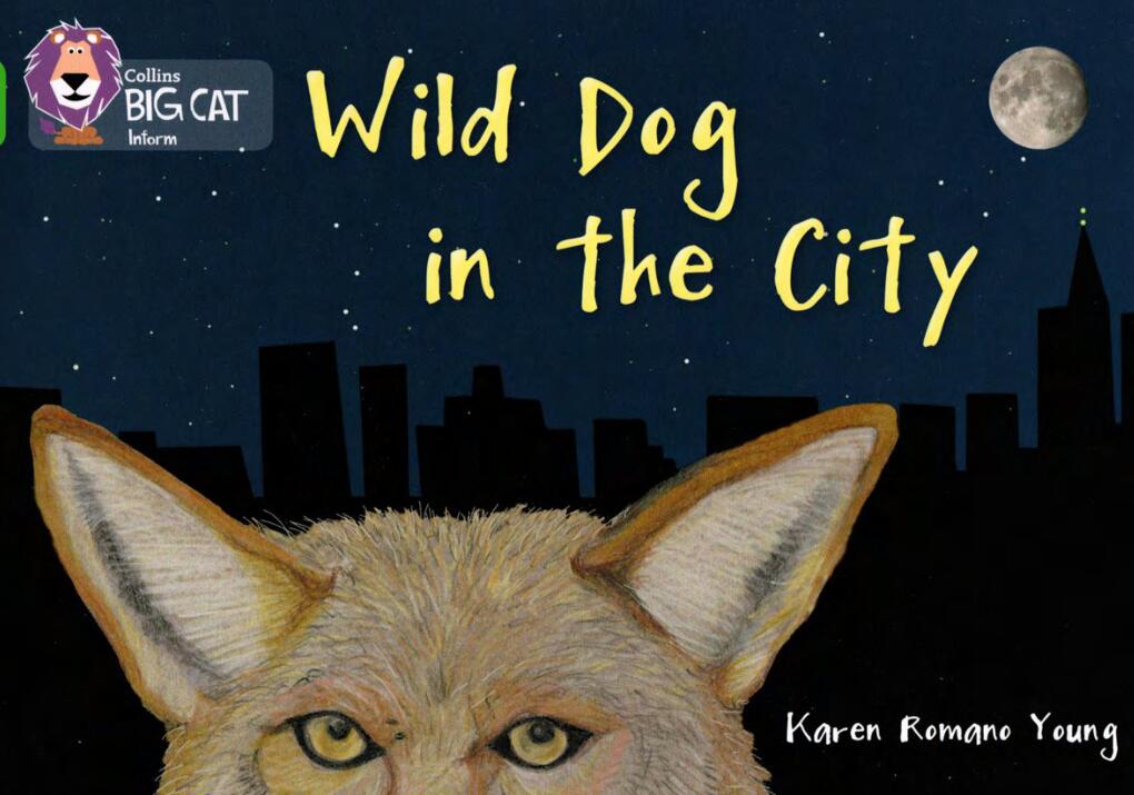 《Wild dog in the city》大猫分级绘本pdf资源免费下载