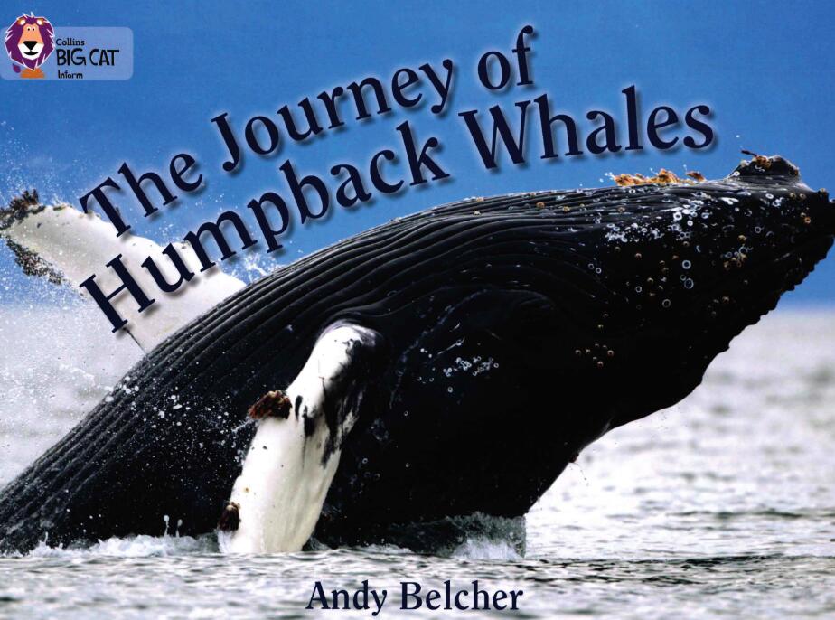 《The Journey of Humpback Whales》大猫绘本pdf资源免费下载