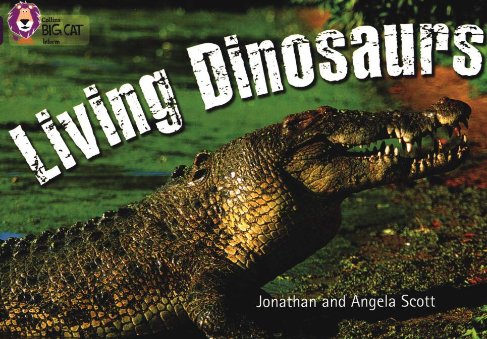 《Living Dinosaurs》大猫英语分级绘本pdf资源免费下载