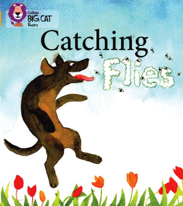 《Catching Flies》大猫英语分级绘本pdf资源免费下载