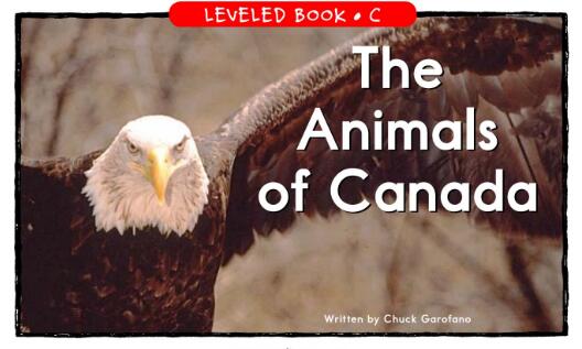 《The Animals of Canada》绘本翻译及pdf资源下载