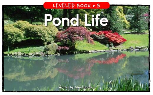 《Pond Life》英语绘本翻译及pdf资源百度云下载