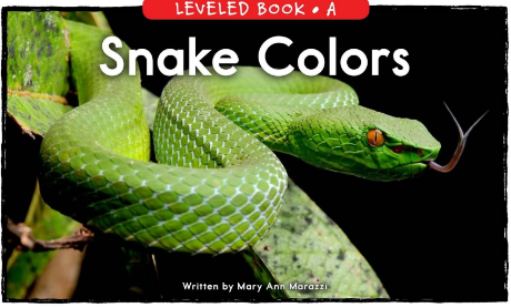 Snake Colors英文绘本PDF+MP3百度网盘下载