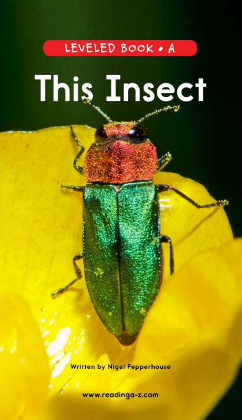 This Insect英文绘本PDF+音频百度网盘下载