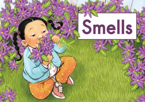 《Smells》海尼曼绘本翻译及pdf资源下载