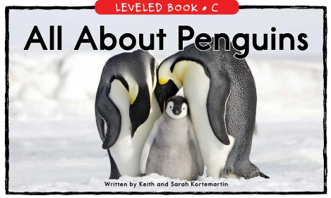 All About Penguins绘本PDF+音频百度网盘免费下载