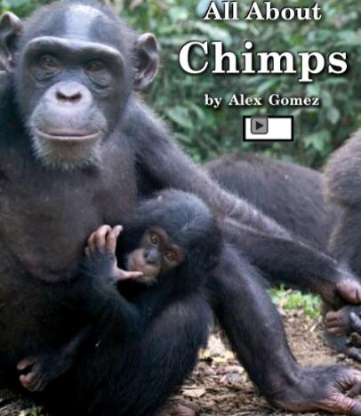 《All About Chimps》海尼曼绘本翻译及pdf资源下载