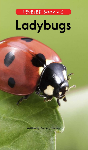 Ladybugs绘本PDF+音频百度云免费下载