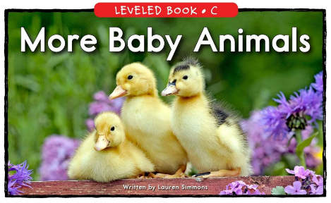 More Baby Animals绘本PDF+音频百度云免费下载