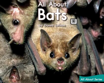 《All About Bats》海尼曼绘本电子版资源下载