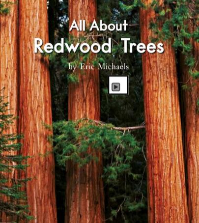 《All About Red wood Trees》绘本翻译及pdf资源下载