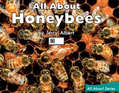 《All About Honey bees》绘本故事翻译及pdf资源下载