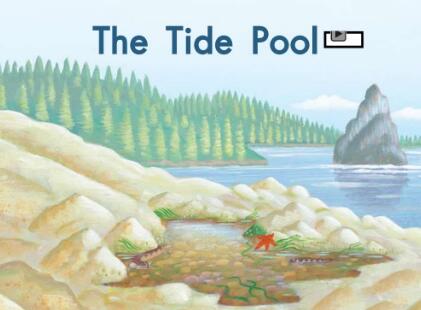 《The Tide Pool》英语绘本翻译及pdf资源下载