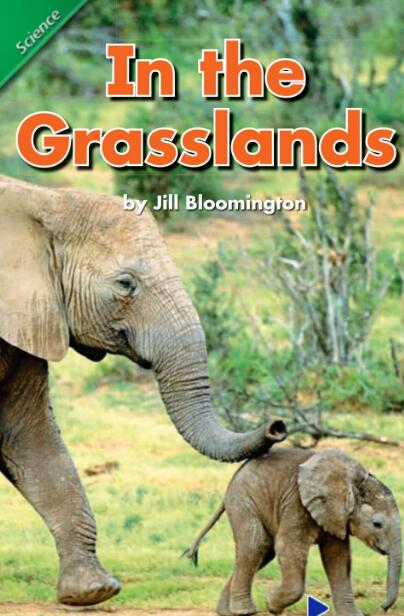 《In the Grasslands》英文绘本pdf资源下载