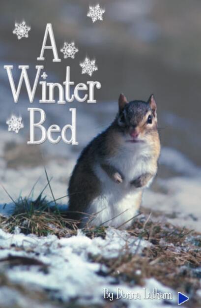 《A Winter Bed》英语绘本pdf资源下载