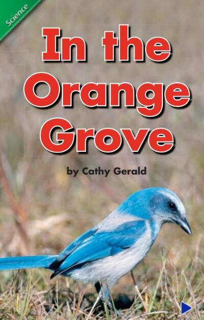 《In the Orange Grove》英语绘本pdf资源下载