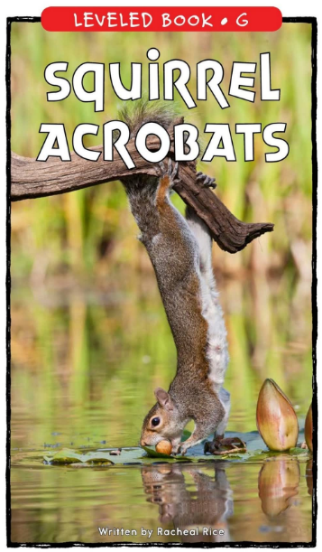 Squirrel Acrobats英语绘本PDF+音频资源免费下载